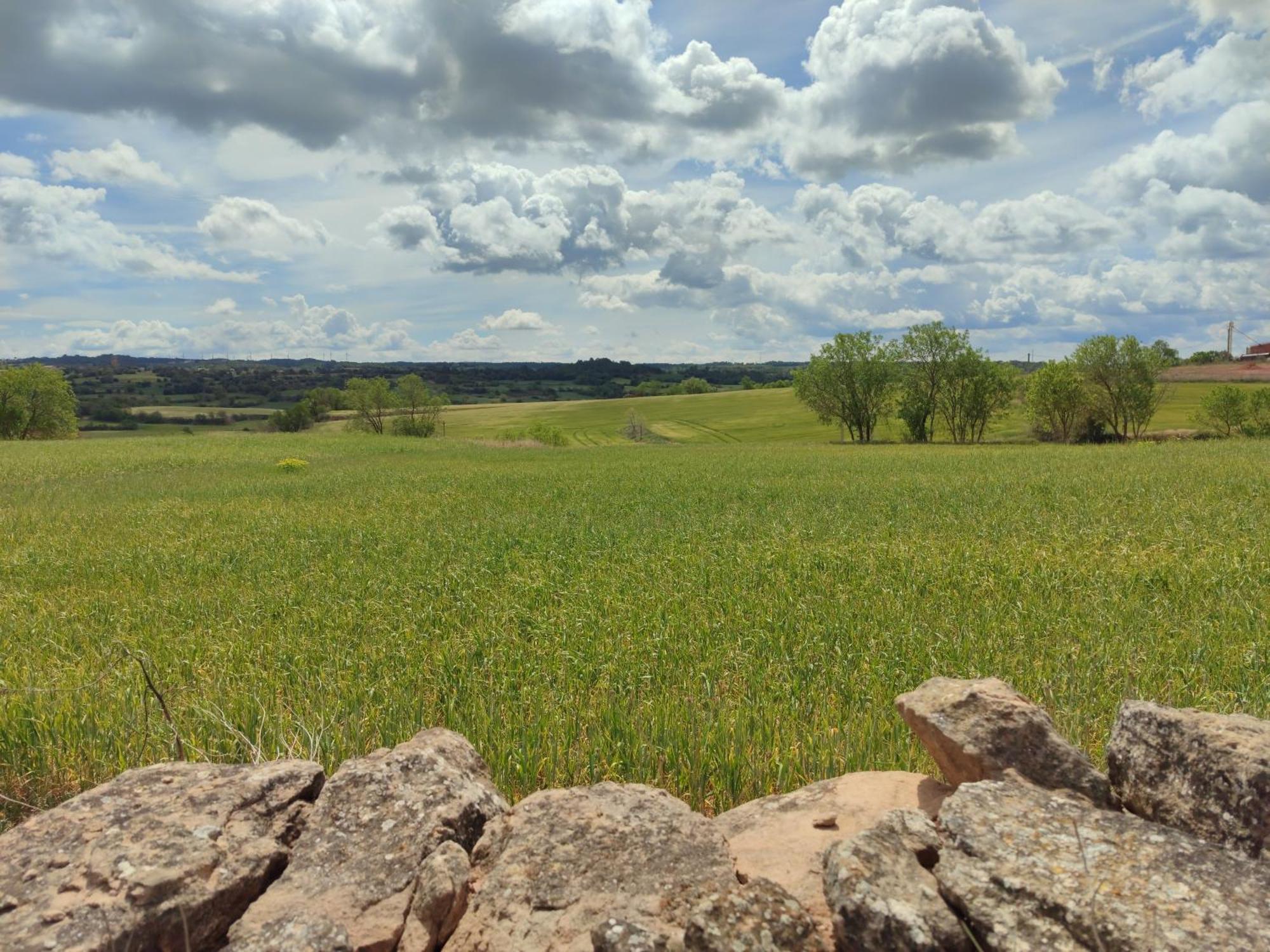 Casa Rural Cal Codina Prats de Rey Eksteriør bilde